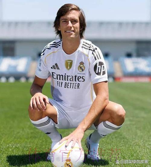 斯基拉:约维奇不在安帅计划内 今夏将离开皇马 斯基拉:约维奇不在安帅计划内 今夏将离开皇马